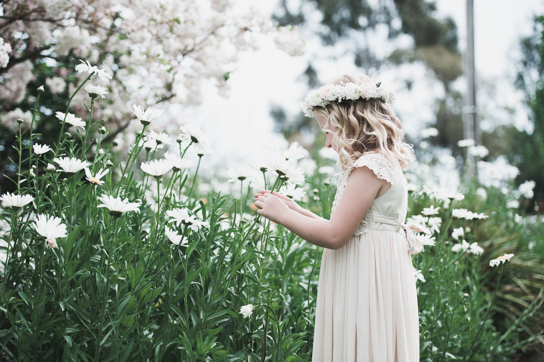 little one flowers