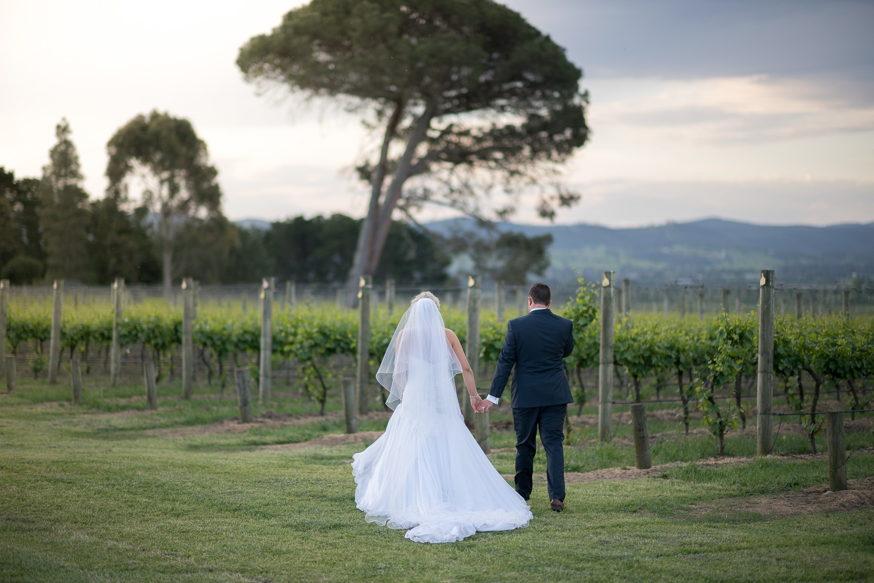 Wedding photography at Stones of the Yarra Valley