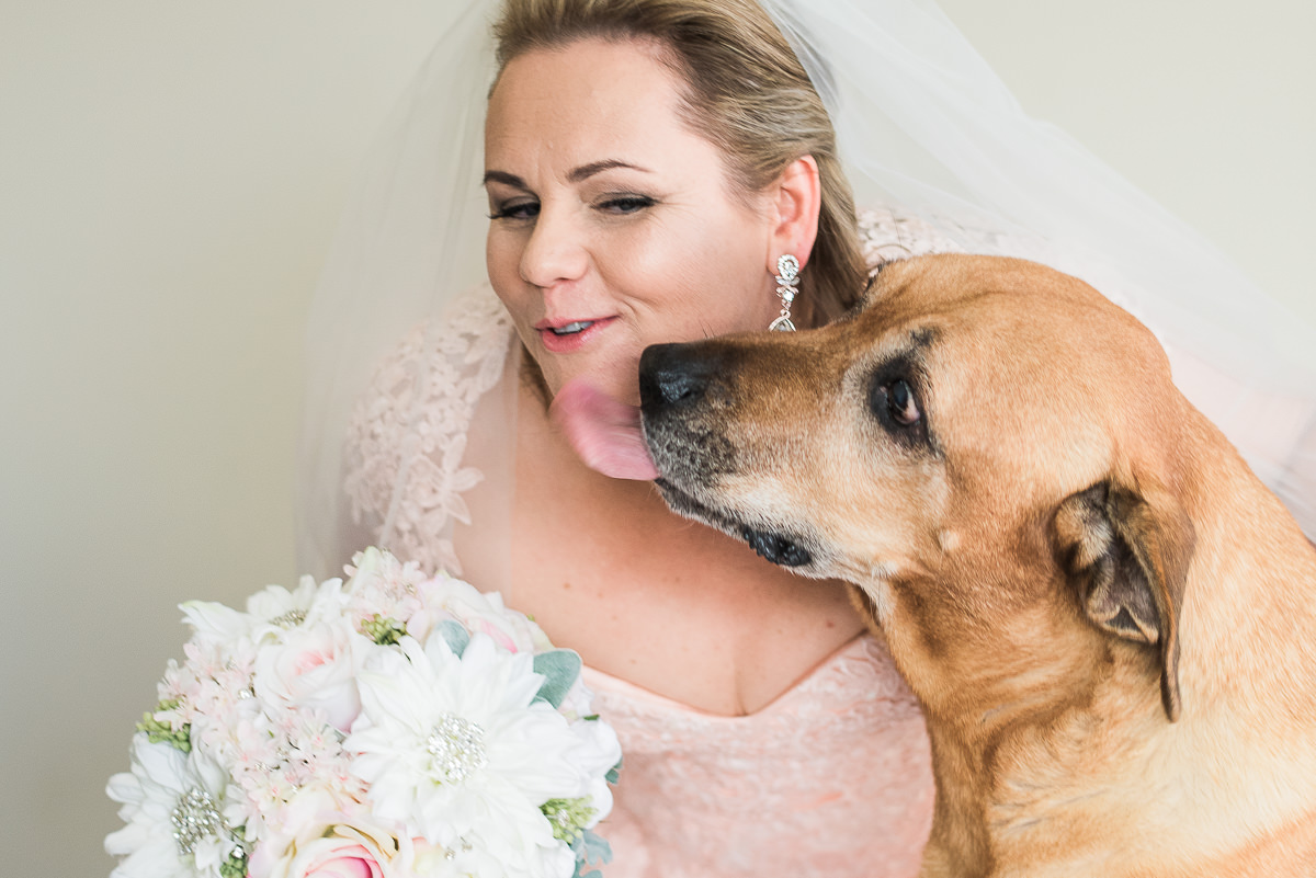 Wedding at the Willows puppie