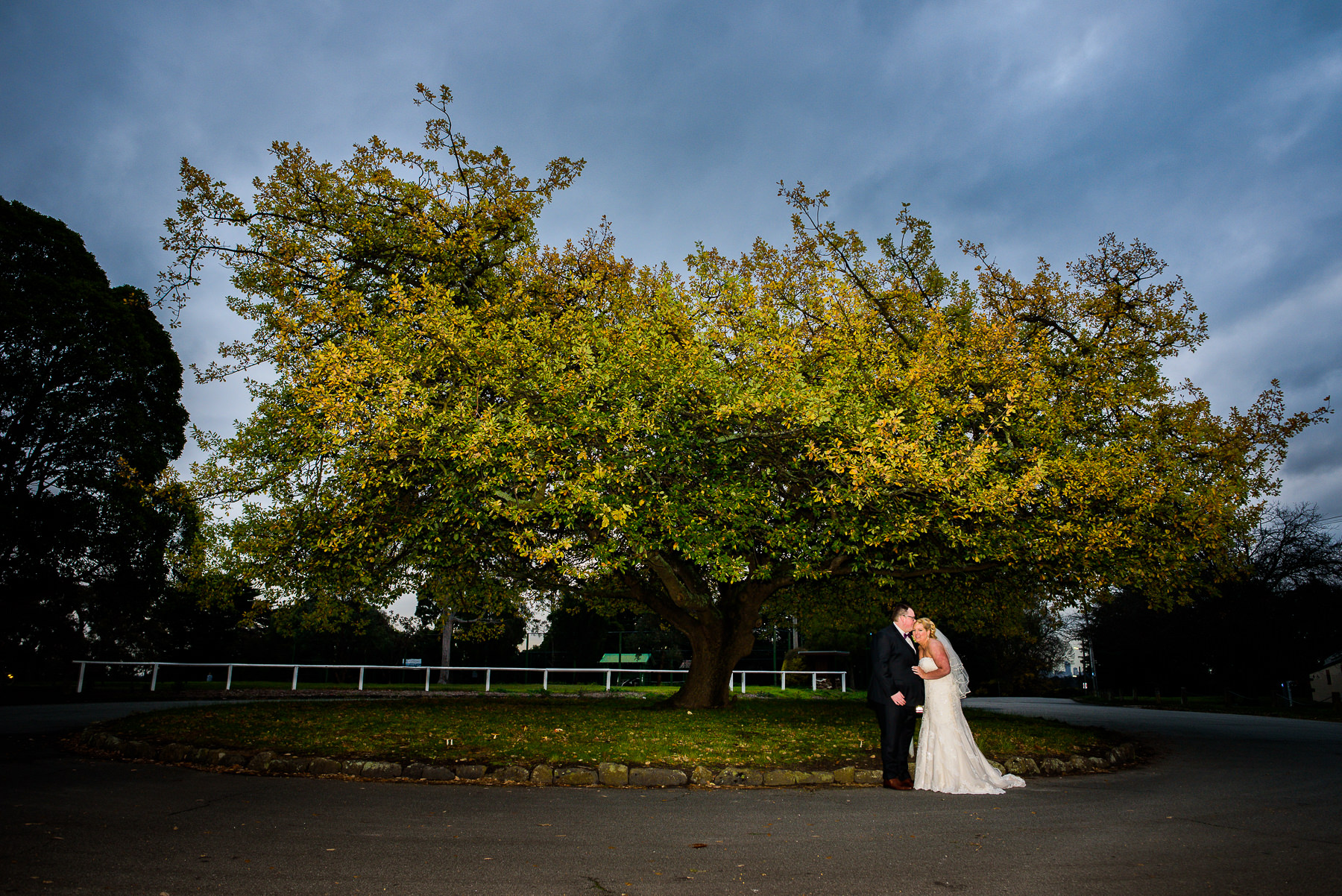 Wedding at Wattle Park trees