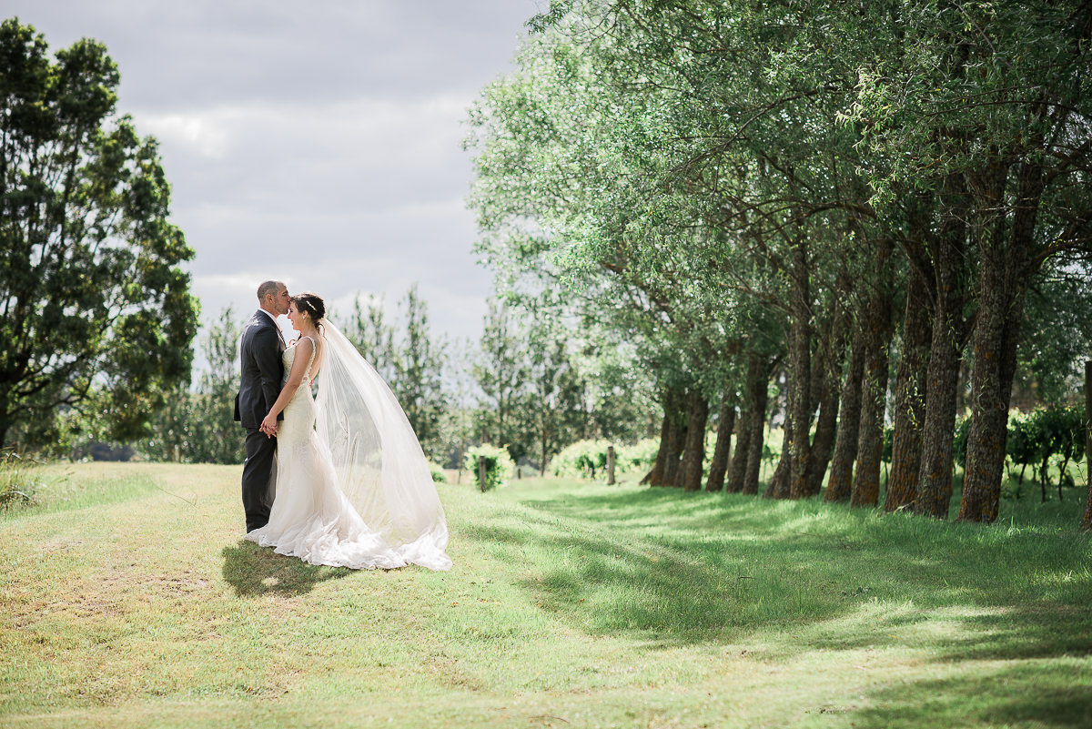 wedding glen erin Winery